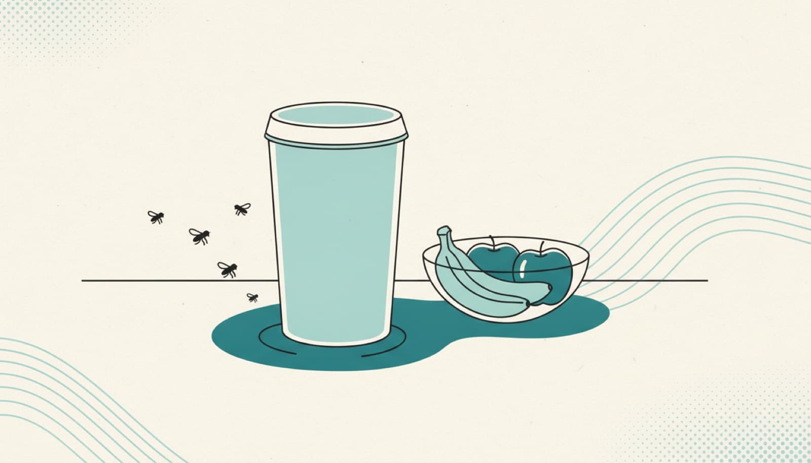Fruit flies: why they arrive, and where a treated surface helps