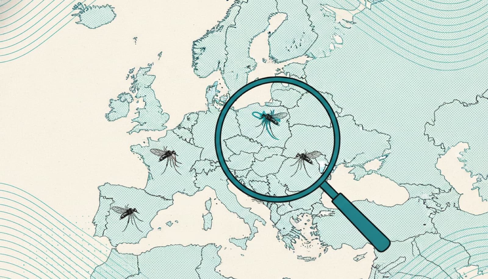 New mosquito species in Europe, and what they mean for you